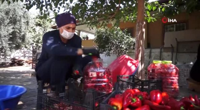 Kadınlar kooperatif kurdu istihdama katkı sağladı