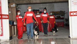 Pandemiye rağmen hız kesmediler!