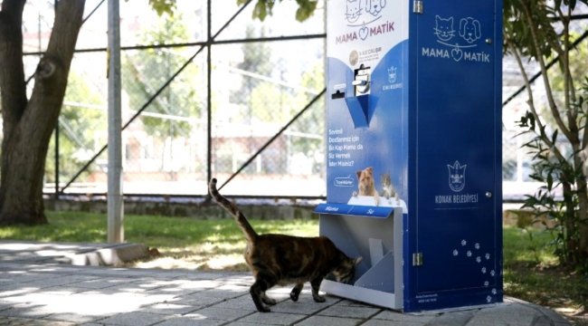 Sokak hayvanlarına MamaMatik hizmeti