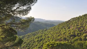 Uluslararası Fotoğraf Yarışması’na başvurular başladı