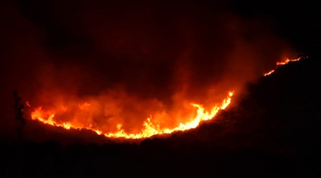 Urla'da otluk alanda korkutan yangın