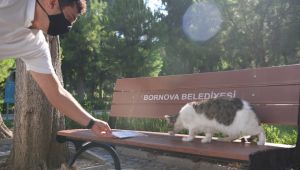 Bornova’da kitap sürprizi