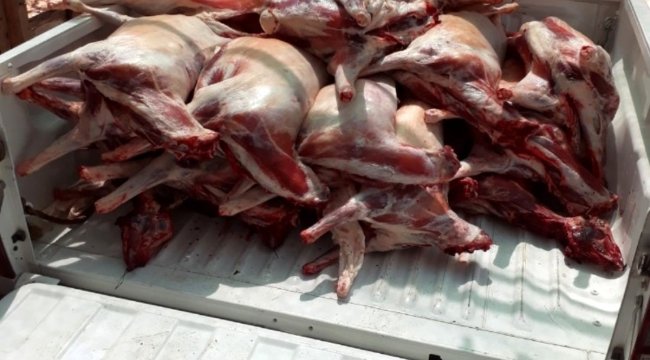 Buca'da kaçak et operasyonu