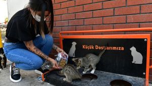 Çiğli Belediyesi Sokak Sakinlerini Unutmadı