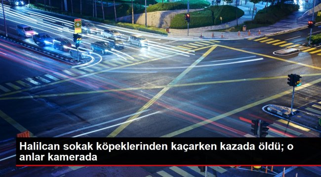 Halilcan sokak köpeklerinden kaçarken kazada öldü; o anlar kamerada