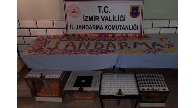 İzmir'de dernek ve depolara kumar baskını