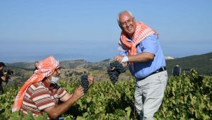 Kavacık Festivali bağbozumuyla yaşatıldı