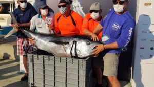  Tuna Masters Alaçatı’da Altın Kemer Shamu’nun