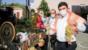 Üzüm kokusu yeniden Buca sokaklarında 