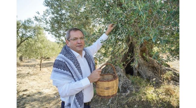 Ayvalık’ta 400 Yaş Ve Üzerindeki Anıt