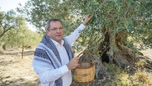 Ayvalık’ta 400 Yaş Ve Üzerindeki Anıt 