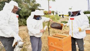 Bornova’da bal hasadı heyecanı