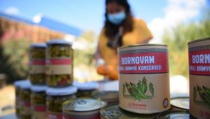 Bornova Kınalı Bamyası artık tescilli