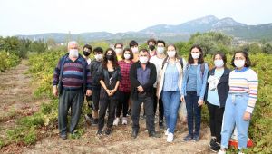 Buca’nın tarımı gençlere emanet