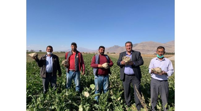 Gürer: “Pancar üreticisi kan ağlıyor”