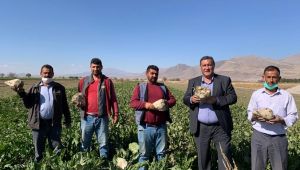 Gürer: “Pancar üreticisi kan ağlıyor”