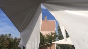 Bucalının “nefes” alanlarına çirkin saldırı 