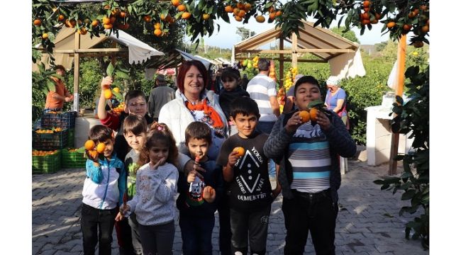 Büyükşehir sineği kovdu, mandalina değerlendi