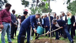 Daha yeşil bir Bornova için