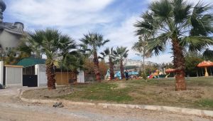 Karabağlar’da hizmetler sürerken yeşil de korunuyor!