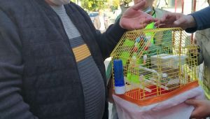 Muhabbet kuşuna depremden 8 gün sonra kavuştu