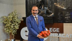 Taze domates ihracatı 250 milyon doları aştı