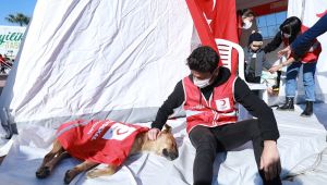 “Vatandaşlarımız Evlerine Girene Kadar Buradayız”