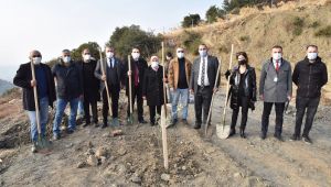 800 zeytin fidanı daha toprakla buluştu