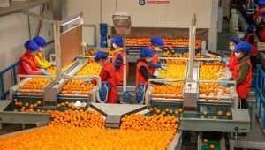 Asgari ücret, emeği enflasyon karşısında, ihracatçıyı rekabette korudu