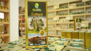 Beş Ton Zeytinyağı Elde Edildi