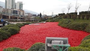 Devlet Bahçeli Kavşağı’ndaki Türk Bayrağı Motifi Yenilendi