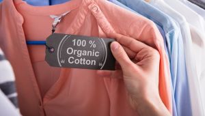 EİB, düşük karbonlu ekonomik büyümenin itici gücü 