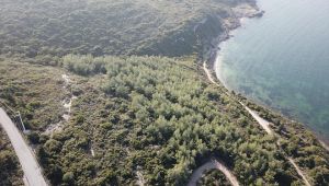 Hazine arazilerini kanuna aykırı şekilde satmaya çalıştılar