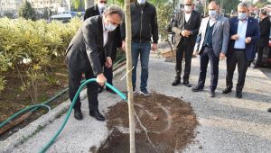 Herşey daha yeşil bir Bornova için