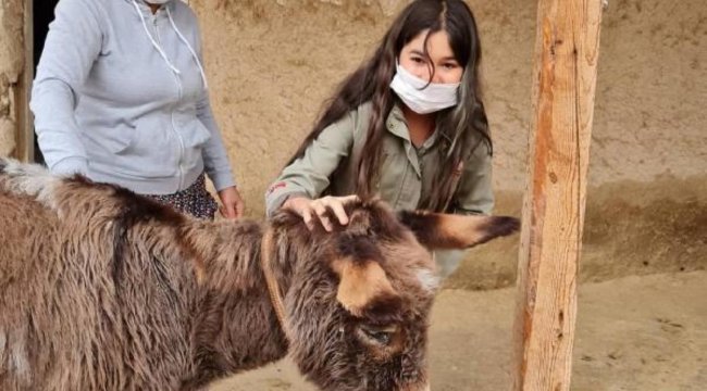 İşkence gören eşek, İzmir'e gidene kadar küçük Ecrim'e emanet