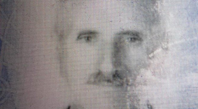 Kestiği ağacında altında kalarak can verdi