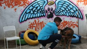 Konak'ta can dostlar için STK'larla işbirliğine devam