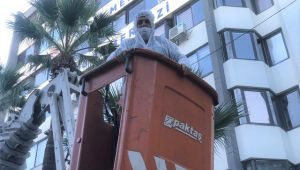 Konak’ta palmiyelere enjeksiyonlu koruma