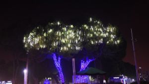 Salihli’de Meydan ve Parklar Işıl Işıl