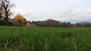 Su kaynaklarının verimli kullanılması sağlanacak