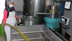 Zeytinyağını kadınlar üretiyor, tadına doyulmuyor…