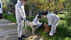Bornova’da can dostlarına özel ilgi