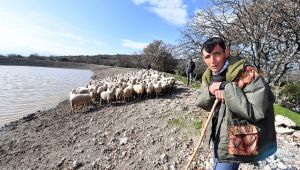 Büyükşehir’in desteği ile çiftçinin yüzü güldü