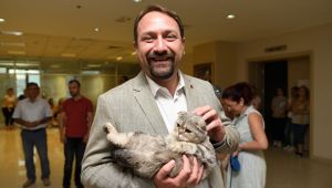 Çiğli Belediyesi Veterinerlik Hizmetlerinde Rekor Artış