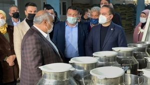 Kırkpınar'dan kaçak güreşci benzetmesi