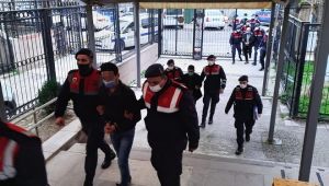 Mahalleli sokak hayvanlarını zehirleyenleri arıyor