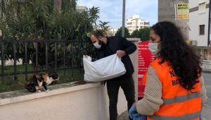 Narlıdere’de sokak canları unutulmuyor