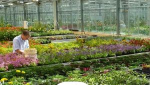 Bayındır için önemli hamle