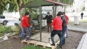 Bayraklı belediyesinden can dostlara yeni yuva