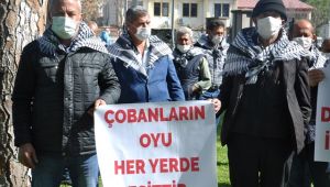 Çobanının Oyu İle Herkesin Oyu Bir !
